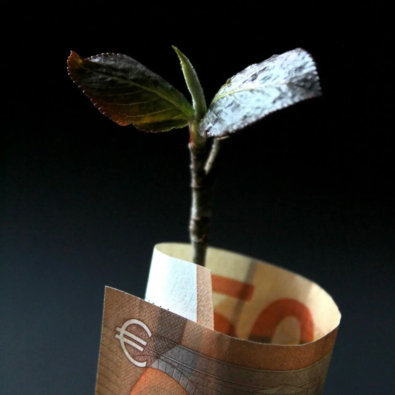 brown and white paper bag